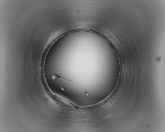 X0000091980578200709201428