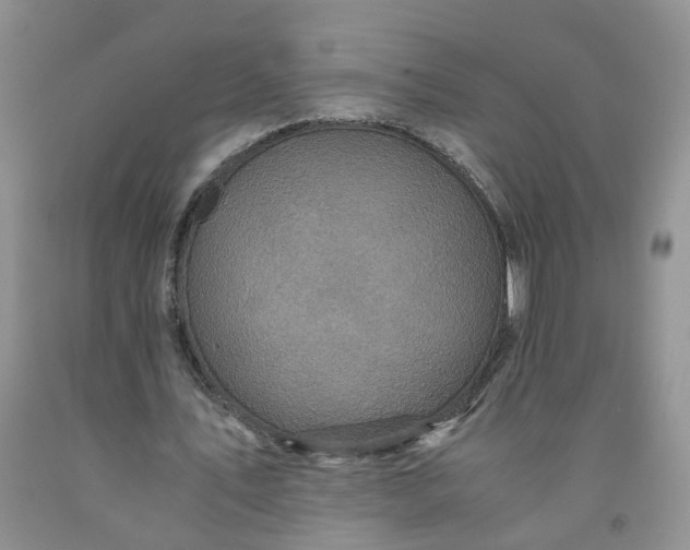 X0000091980579200709201428