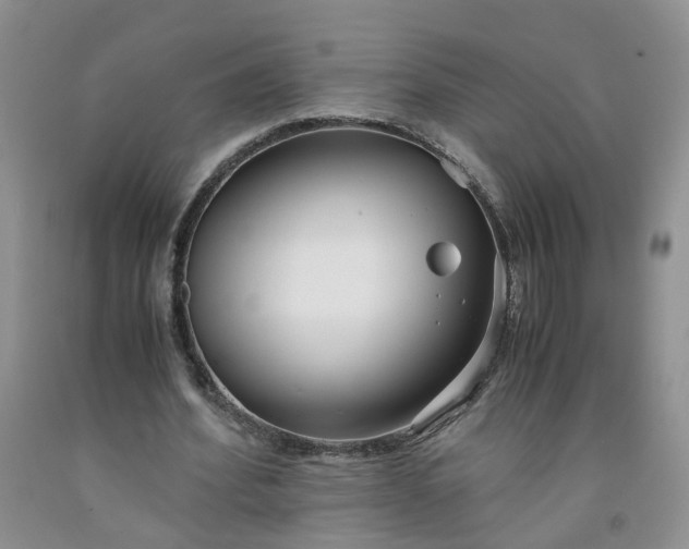 X0000091980580200709201428