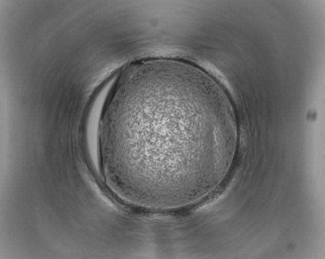 X0000091980581200709201428