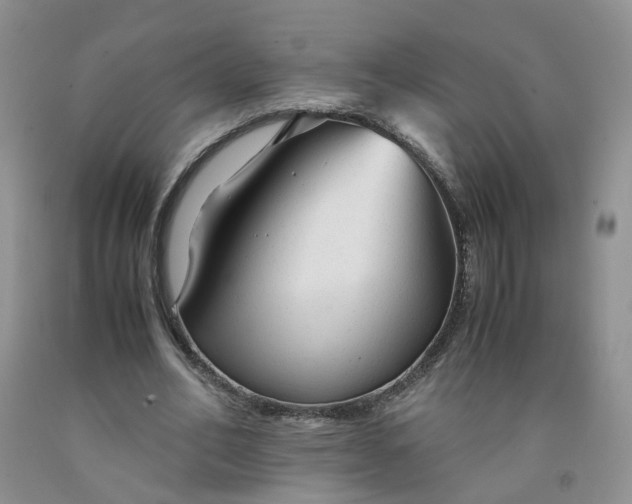 X0000091980582200709201428