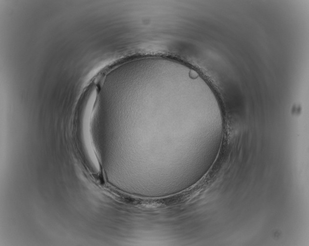 X0000091980583200709201428