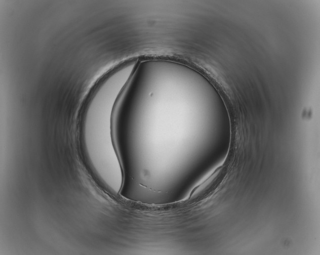 X0000091980584200709201428