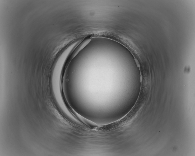 X0000091980585200709201428