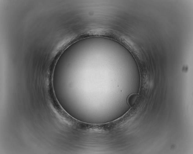 X0000091980586200709201428