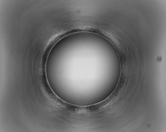 X0000091980587200709201428