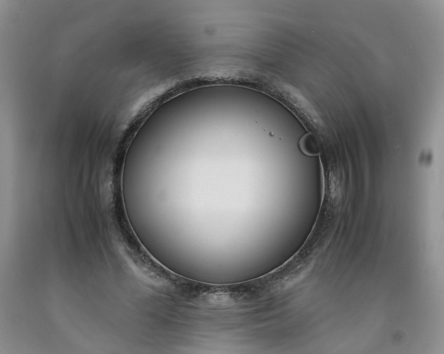 X0000091980588200709201428