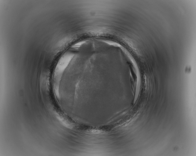 X0000091980590200709201428