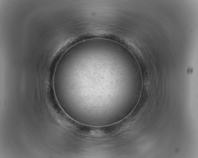 X0000091980591200709201428