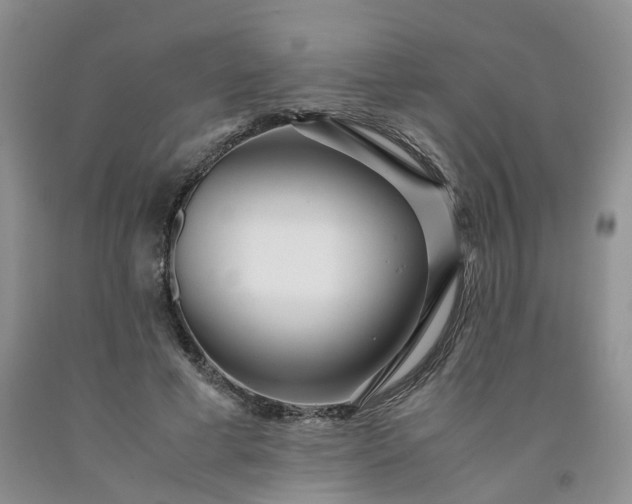 X0000091980593200709201428