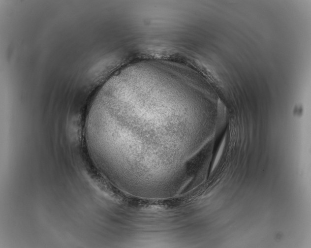 X0000091980594200709201428