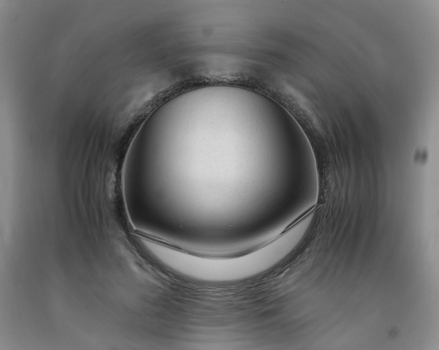 X0000091980596200709201428