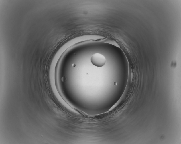 X0000091980597200709201428