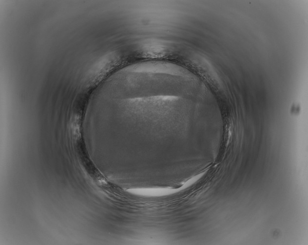 X0000091980598200709201428