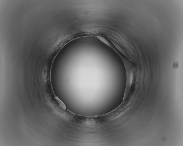 X0000091980600200709201428