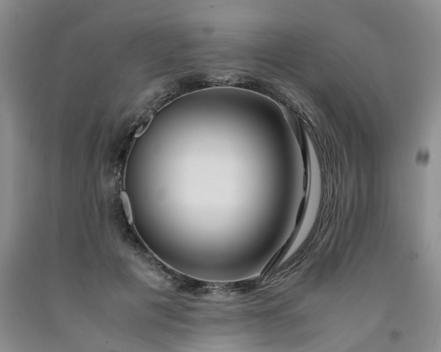 X0000091980601200709201428