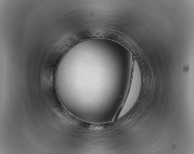 X0000091980602200709201428