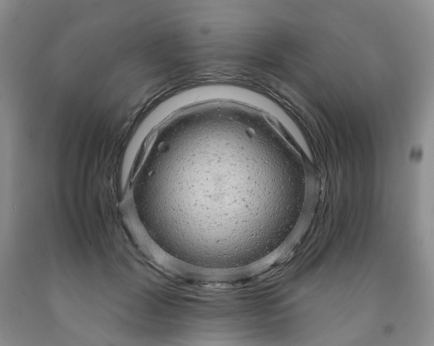 X0000091980604200709201428