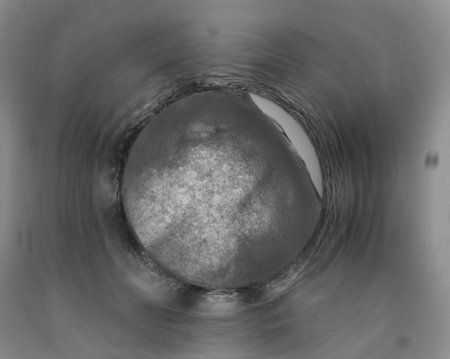 X0000091980606200709201428