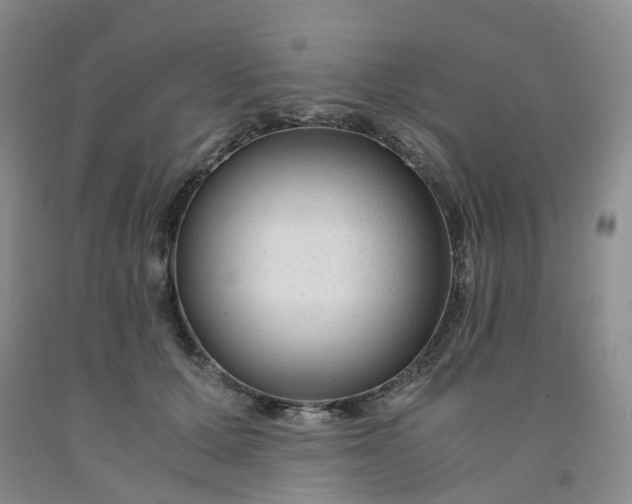 X0000091980607200709201428