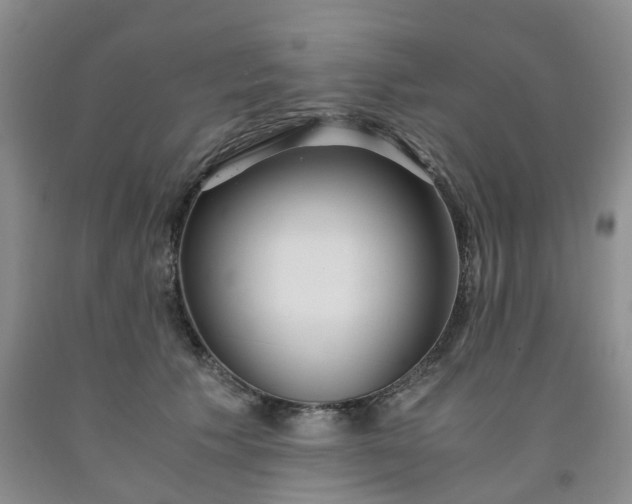 X0000091980609200709201428