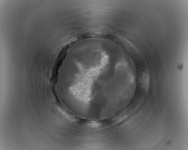 X0000091980610200709201428