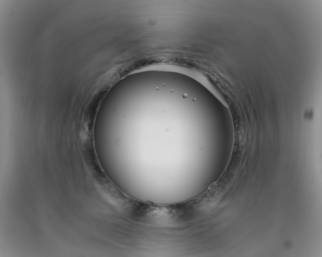 X0000091980611200709201428