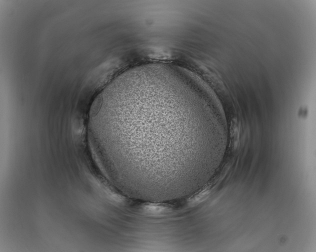 X0000091980614200709201428