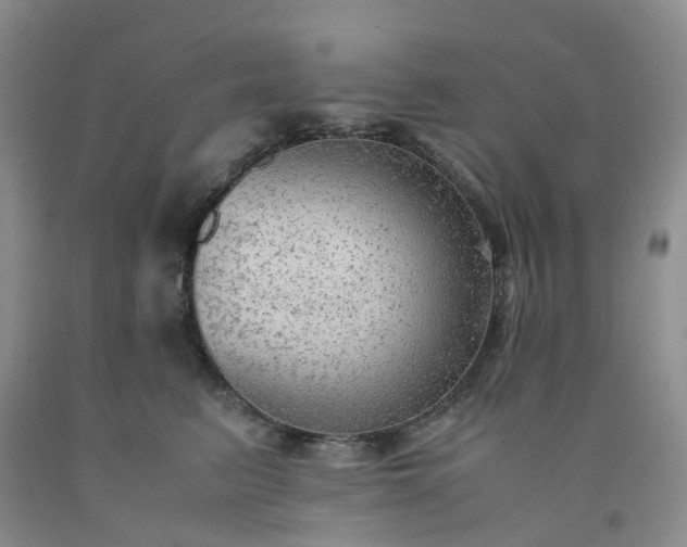 X0000091980615200709201428