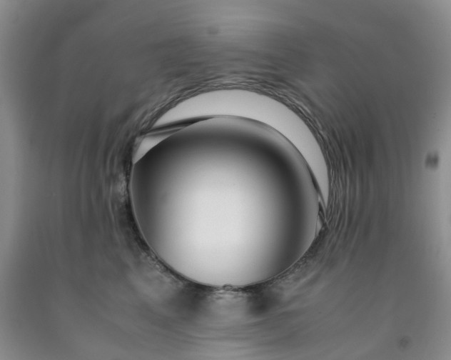 X0000091980617200709201428