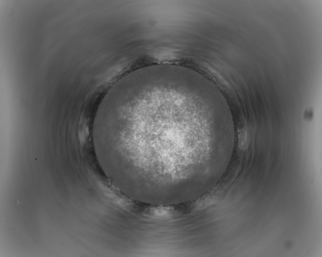 X0000091980618200709201428