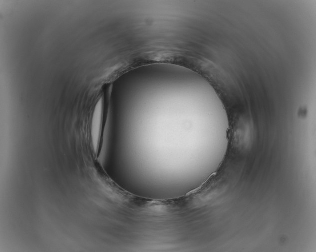 X0000091980620200709201428