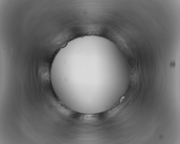 X0000091980622200709201427