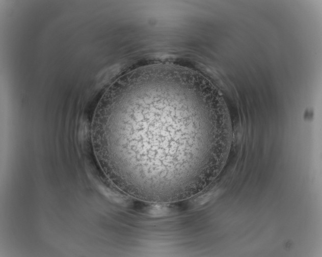 X0000091980623200709201427