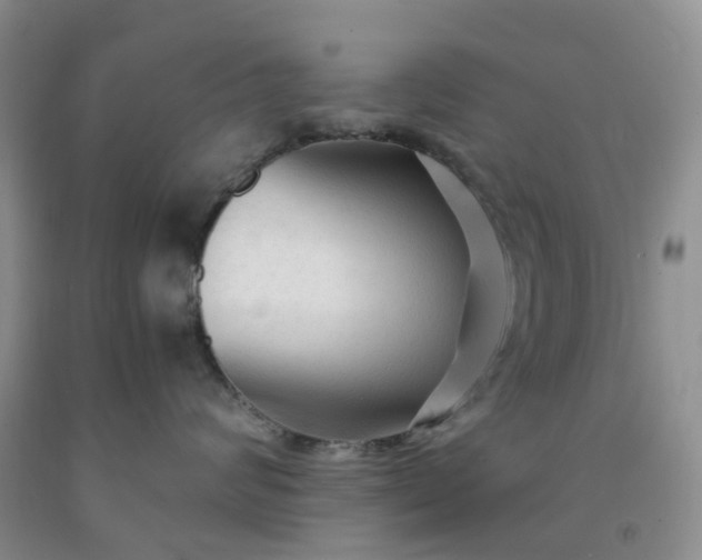 X0000091980624200709201427