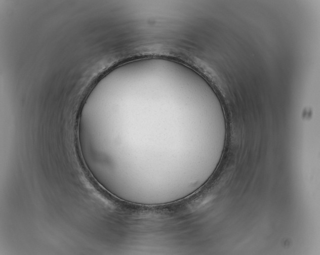 X0000091980625200709201427