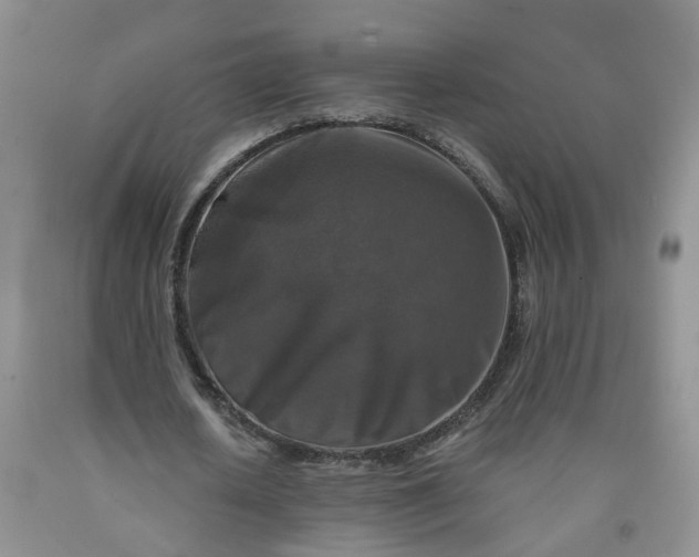 X0000091980626200709201427