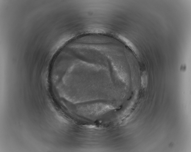 X0000091980627200709201427