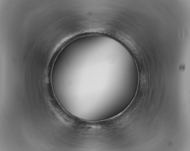 X0000091980628200709201427