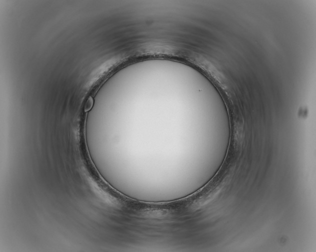 X0000091980629200709201427