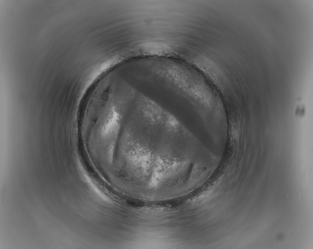 X0000091980630200709201427