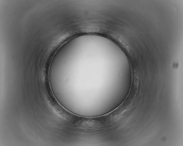 X0000091980631200709201427