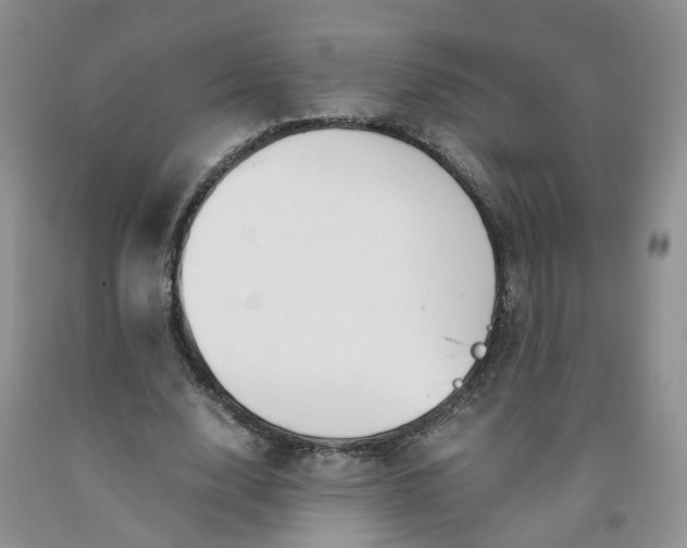 X0000091980632200709201427