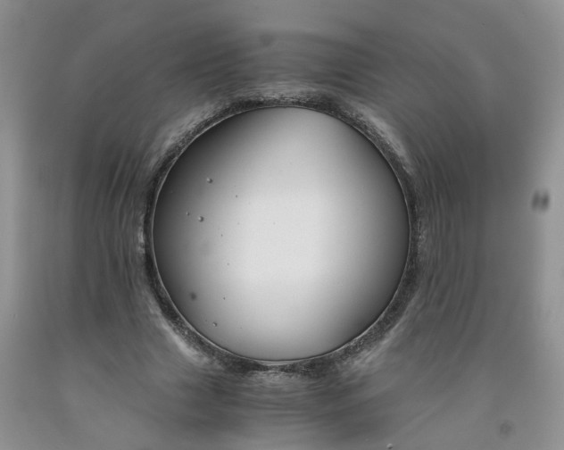 X0000091980633200709201427