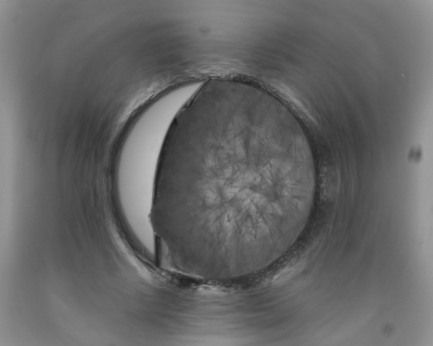 X0000091980634200709201427