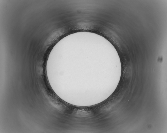 X0000091980635200709201427