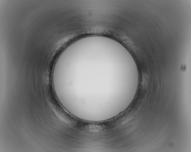 X0000091980636200709201427