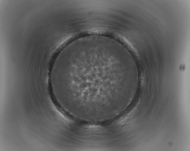 X0000091980637200709201427