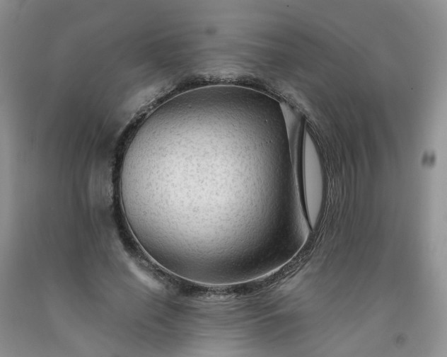 X0000091980638200709201427