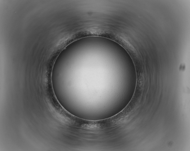 X0000091980639200709201427